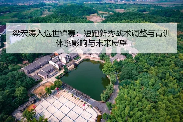liang-hong-tao-ru-xuan-shi-jin-sai-duan-pao-xin-xiu-zhan-shu-tiao-zheng-yu-qing-xun-ti-xi-ying-xiang-yu-wei-lai-zhan-2-765.jpg