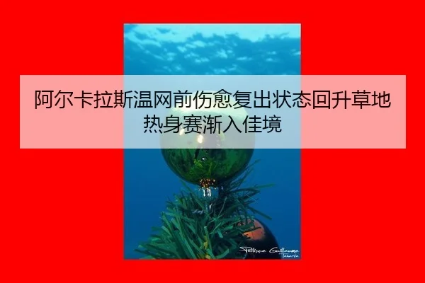 a-er-ka-la-si-wen-wang-qian-shang-yu-fu-chu-zhuang-tai-hui-sheng-cao-di-re-shen-sai-jian-ru-jia-jing-2-255.jpg